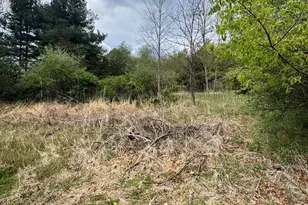 Middle Cove Rd, Mathias, WV 26812 - Photo 1