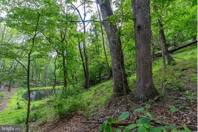 2598 Mountain View Road, Moorefield, WV 26836 - Photo 83