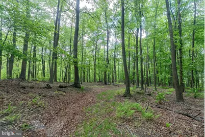 2598 Mountain View Road, Moorefield, WV 26836 - Photo 81