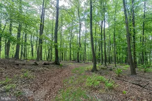 2598 Mountain View Rd, Moorefield, WV 26836 - Photo 81