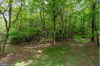 2598 Mountain View Road, Moorefield, WV 26836 - Photo 73