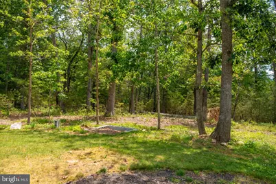 792 Forest Glen Drive, Moorefield, WV 26836 - Photo 119