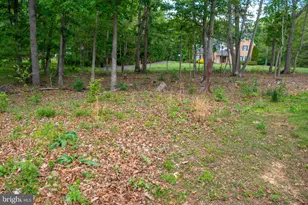 792 Forest Glen Dr, Moorefield, WV 26836 - Photo 131