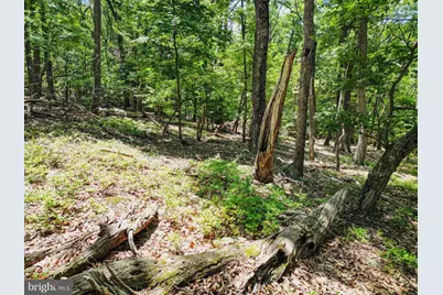 Lot 23 Cove Creek, Baker, WV 26801 - Photo 17