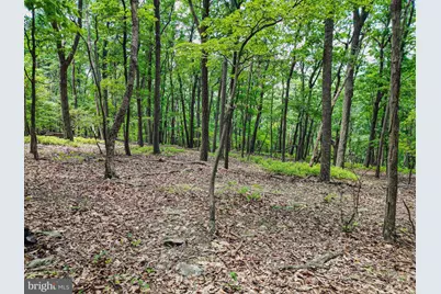 Lot 23 Cove Creek, Baker, WV 26801 - Photo 5