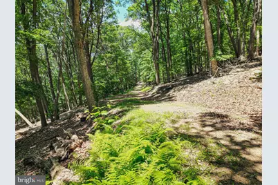 Lot 23 Cove Creek, Baker, WV 26801 - Photo 7