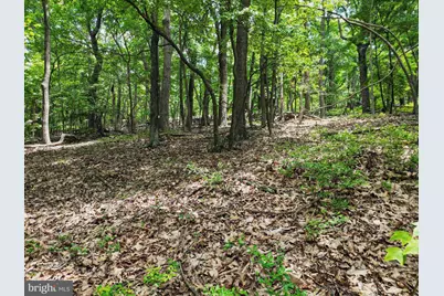 Lot 23 Cove Creek, Baker, WV 26801 - Photo 21