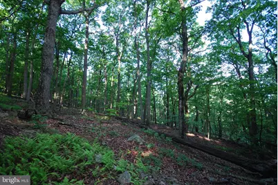 Lot 23 Cove Creek, Baker, WV 26801 - Photo 35