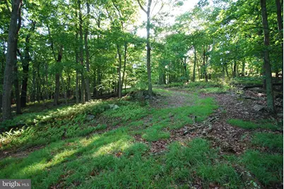 Lot 23 Cove Creek, Baker, WV 26801 - Photo 31