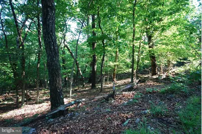Lot 23 Cove Creek, Baker, WV 26801 - Photo 33