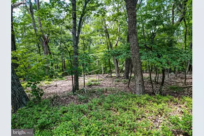 Lot 23 Cove Creek, Baker, WV 26801 - Photo 11