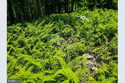 Lot 23 Cove Creek, Baker, WV 26801 - Photo 19