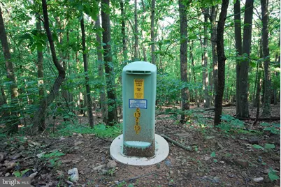 Lot 23 Cove Creek, Baker, WV 26801 - Photo 41