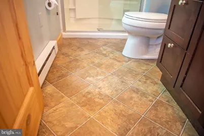 590 Whispering Pines Way, Lost City, WV 26810 - Photo 39
