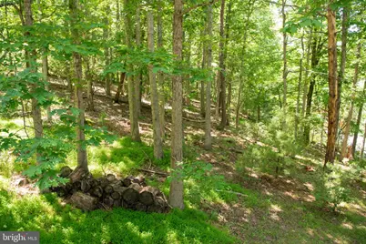 590 Whispering Pines Way, Lost City, WV 26810 - Photo 69