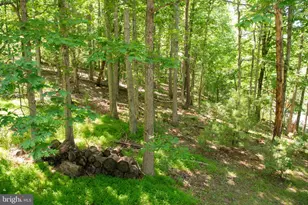 590 Whispering Pines Way, Lost City, WV 26810 - Photo 69