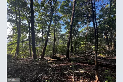 Lot 52 Grace Mountain, Moorefield, WV 26836 - Photo 5