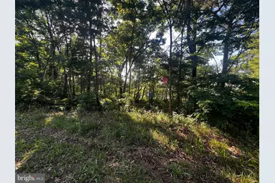 Lot 52 Grace Mountain, Moorefield, WV 26836 - Photo 21