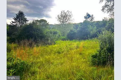 12125 State Road 259, Mathias, WV 26812 - Photo 21