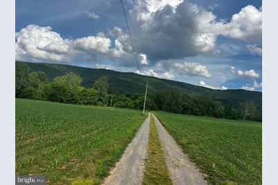 12125 State Road 259, Mathias, WV 26812 - Photo 13