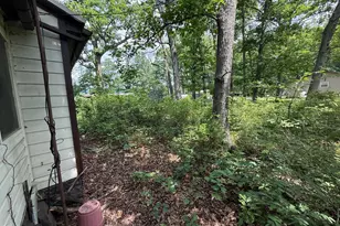 151 Cecil Meneffee Dr, Moorefield, WV 26836 - Photo 7