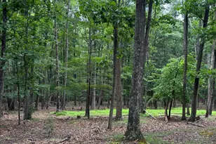 Cedarwood, Mathias, WV 26812 - Photo 33