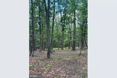 Cedarwood, Mathias, WV 26812 - Photo 31