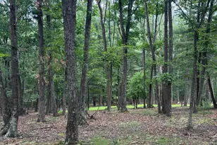 Cedarwood, Mathias, WV 26812 - Photo 31