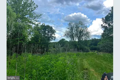 12125 State Road 259, Mathias, WV 26812 - Photo 3