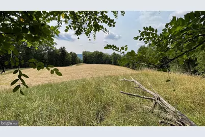 1285 Boggs Lane, Mathias, WV 26812 - Photo 47