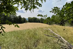 1285 Boggs Ln, Mathias, WV 26812 - Photo 47
