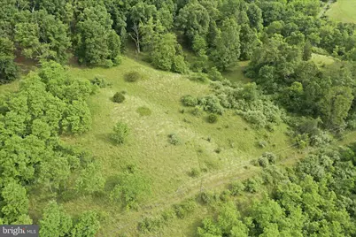 11.95Ac Luxemburg Rd, Baker, WV 26801 - Photo 23