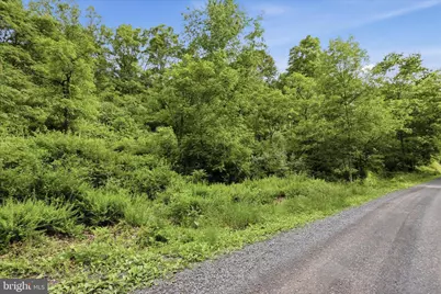 11.95Ac Luxemburg Rd, Baker, WV 26801 - Photo 5