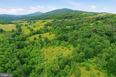 11.95Ac Luxemburg Rd, Baker, WV 26801 - Photo 17
