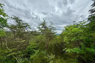 302 Vly Vw Rd, Lost City, WV 26810 - Photo 9