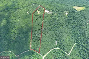 5982 S Branch Mountain Rd, Moorefield, WV 26836 - Photo 15