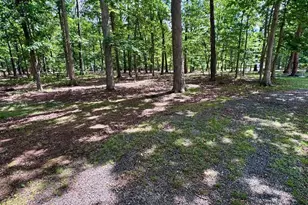 544 Summit Dr, Moorefield, WV 26836 - Photo 33