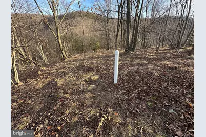 333 Nathaniel Mountain Road, Moorefield, WV 26836 - Photo 11