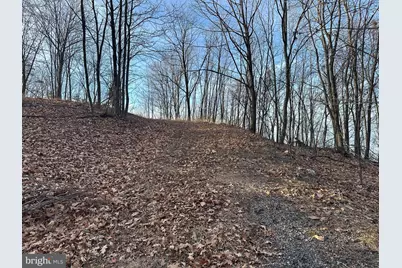 333 Nathaniel Mountain Road, Moorefield, WV 26836 - Photo 27