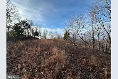 333 Nathaniel Mountain Road, Moorefield, WV 26836 - Photo 33
