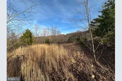 333 Nathaniel Mountain Road, Moorefield, WV 26836 - Photo 37