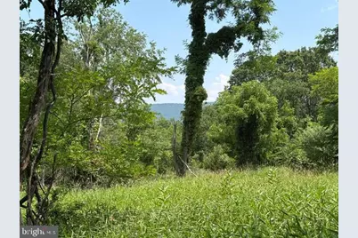 Lot 24A 3.22 Ac Fox Run, Baker, WV 26801 - Photo 1