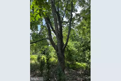 Lot 24A 3.22 Ac Fox Run, Baker, WV 26801 - Photo 23