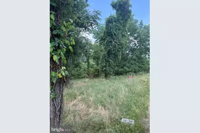 Lot 24A 3.22 Ac Fox Run, Baker, WV 26801 - Photo 11