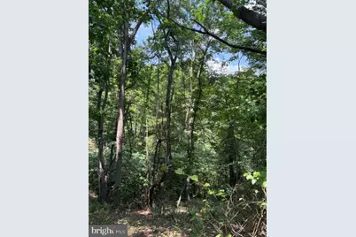 Lot 24A 3.22 Ac Fox Run, Baker, WV 26801 - Photo 15