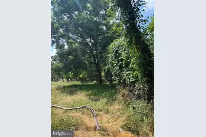 Lot 24A 3.22 Ac Fox Run, Baker, WV 26801 - Photo 21