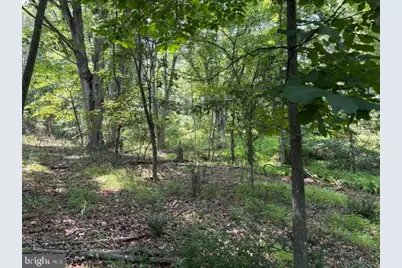 Lot 24A 3.22 Ac Fox Run, Baker, WV 26801 - Photo 33