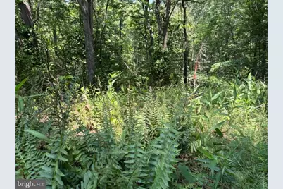 Lot 24A 3.22 Ac Fox Run, Baker, WV 26801 - Photo 31