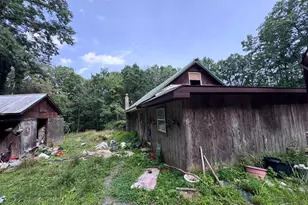 139 Snowy Ln, Fisher, WV 26818 - Photo 19