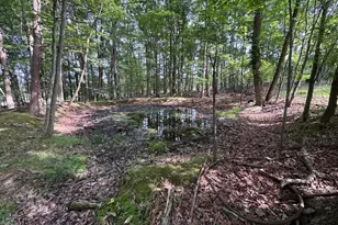 139 Snowy Ln, Fisher, WV 26818 - Photo 3